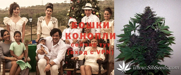 гидропоника Аркадак